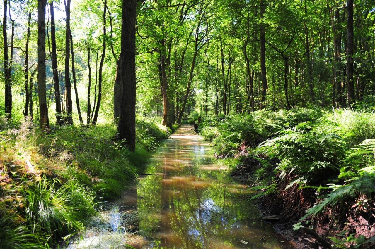 De Hilkensberg